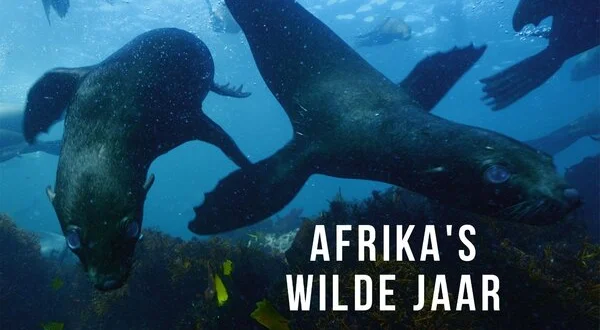 Afrika's wilde jaar