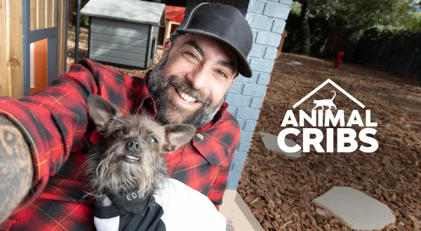Animal Cribs