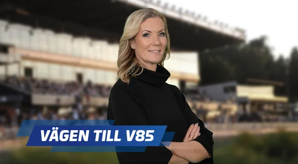 Vägen till V85