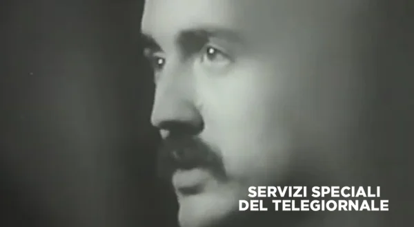 Servizi speciali del telegiornale