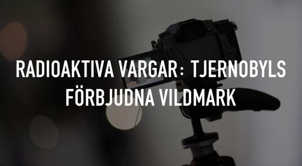 Radioaktiva vargar: Tjernobyls förbjudna vildmark