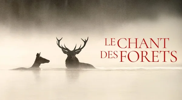 Le Chant des forêts