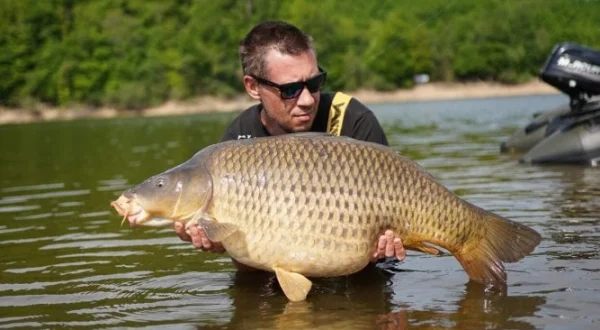 Le spot aux grosses carpes
