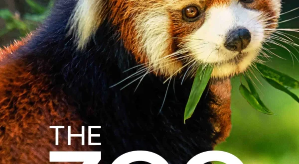 The Zoo