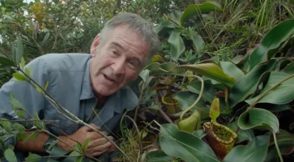 Nigel Marven's Wild Philippines