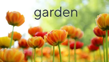 Garden Reflections - Clearance