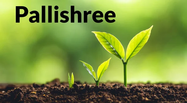 Pallishree