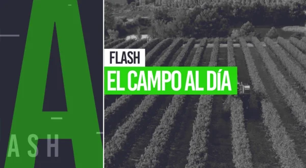 Flash campo al día