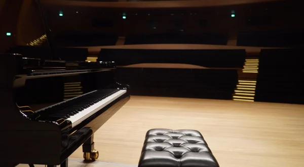 Etude op. 25 no. 9