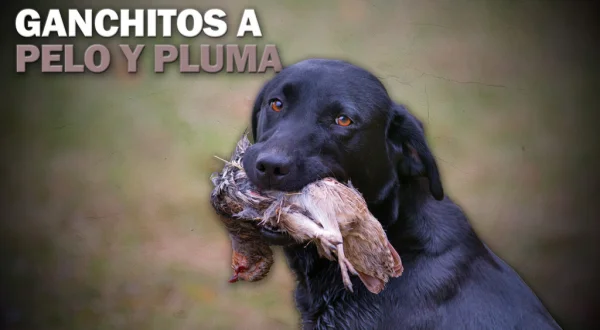 Ganchitos a pelo y pluma
