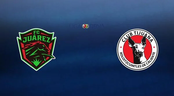 Liga MX Soccer