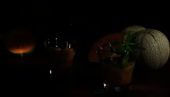Kräutergarten: Eisenkraut