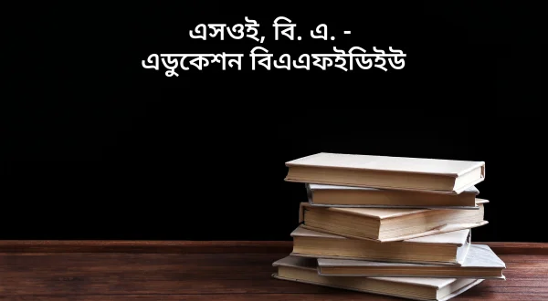एसओई, बी.ए. - एजुकेशन बीएएफईडीयू