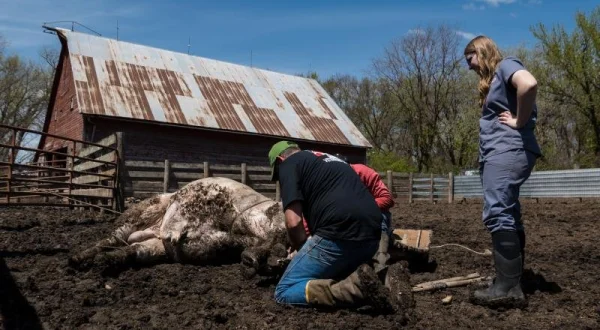 Veterináři z Nebrasky