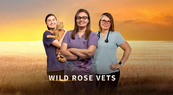 Wild Rose Vets