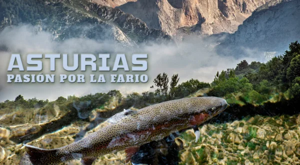 Asturias, pasión por la Fario