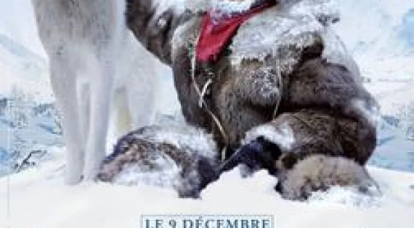 Loup