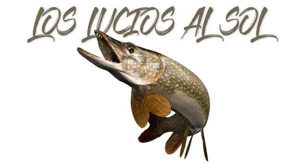 Los lucios al sol