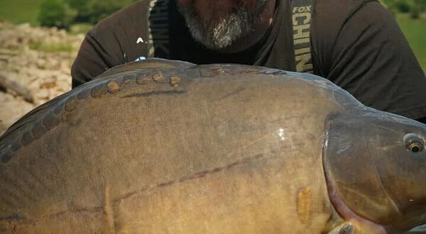 Le spot aux grosses carpes