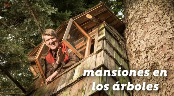 Mansiones en los árboles