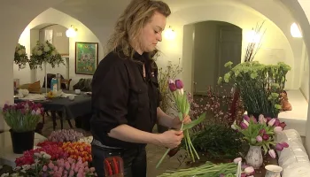 De kongelige slotshaver