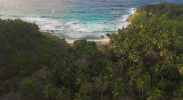 Afrique, terres de vie