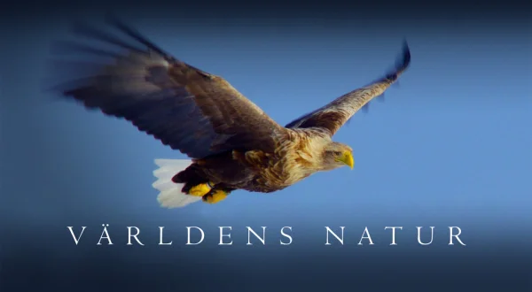 Världens natur