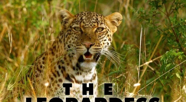 The Leopardess