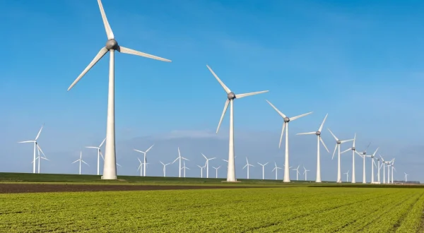 Haro sur les éoliennes