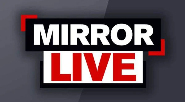 Mirror Live
