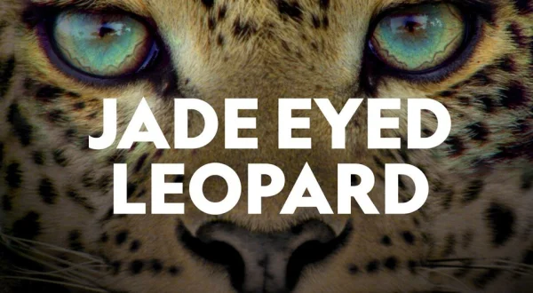 Jade Eyed Leopard