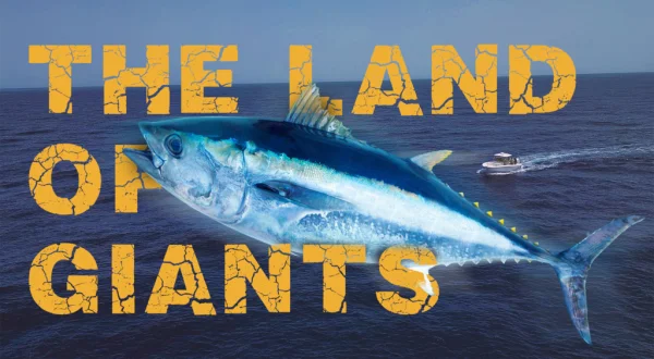 The land of giants Canarias