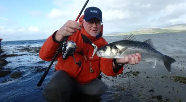 Wolfsbarsch Action am Wild Atlantic Way