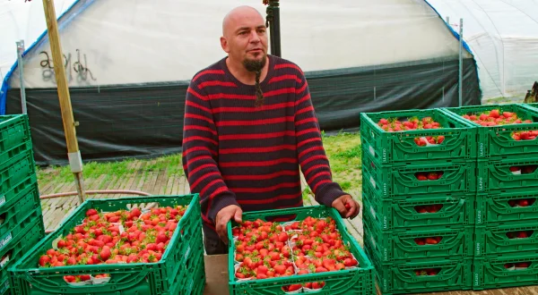 Landwirtschaft