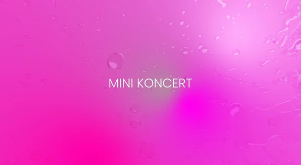 Mini koncert