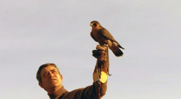 Cazadores de lances