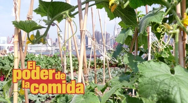 El poder de la comida