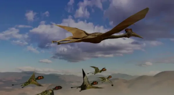 Faszination Urzeit - Verlorene Welten
