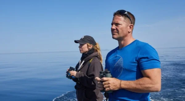 A la rencontre des requins avec Steve Backshall | Shark with Steve Backshall