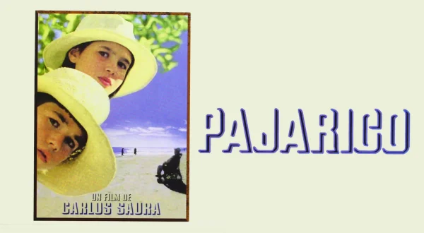 Pajarico
