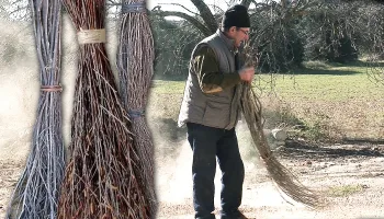 Escobas con ramas y plantas. Corte, atado y moldeado (de un año) para barrer las eras en el campo