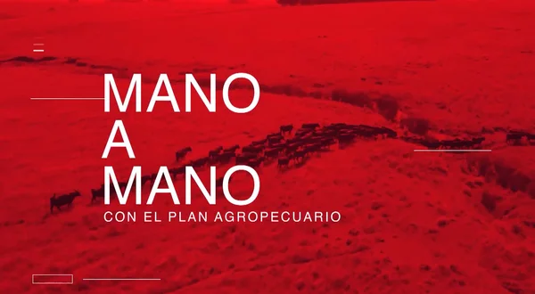 Mano a mano con el plan agropecuario