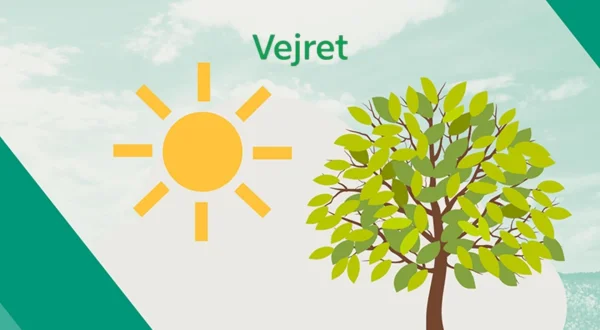 Vejret