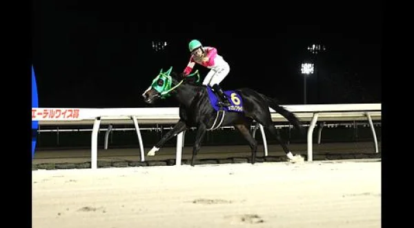 ホッカイドウ競馬レース実況中継（ナイター） エーデルワイス賞 JpnⅢ