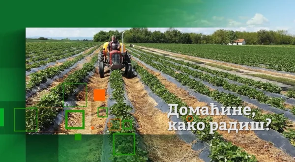 Domaćine, kako radiš