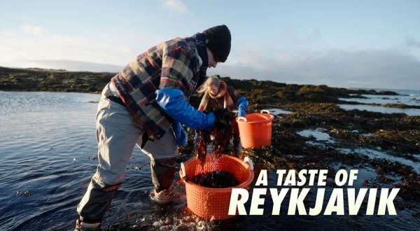A Taste of Reykjavik