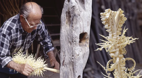 Las palmas de almez. Artesanía manual en la madera: tirabuzones y caracolas