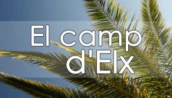El camp d'Elx