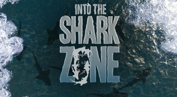 Into the Shark Zone