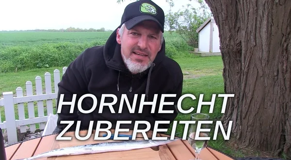 Hornhecht zubereiten